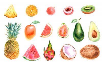 Sticker  Watercolor tropical set of fruits on a white background