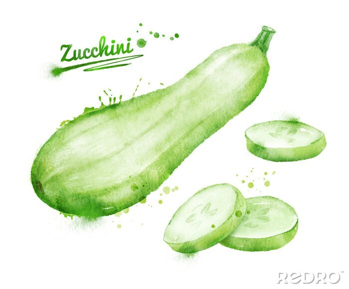 Sticker  Watercolor zucchini.