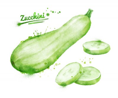 Sticker  Watercolor zucchini.