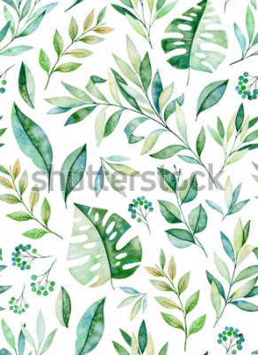 Sticker  Watercolors feuilles transparent motif de branche sur fond blanc. Texture avec les verts, les branches, les feuilles, les feuilles tropicales, le feuillage. Parfait pour le mariage, la conception de l