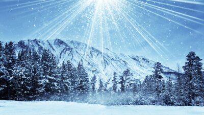 Sticker  wintry forest and magic snowfall