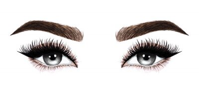 Sticker  Yeux de femme avec de longs cils. Illustration aquarelle dessinée à la main. Cils et sourcils. Conception pour les extensions de cils, microblading, mascara, salon de beauté, cosmétiques, maquilleuse.