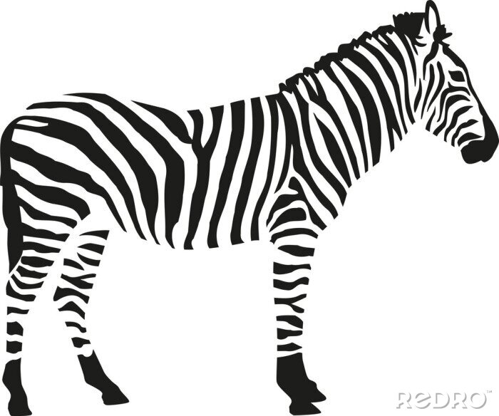 Sticker  Zebra silhouette isloated sur fond blanc