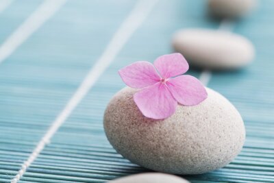 Sticker  Zen de pierres et de fleurs roses
