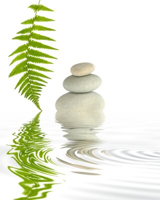 Sticker  Zen Elements