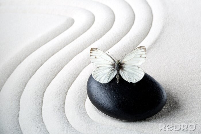 Sticker  Zen stone avec papillon