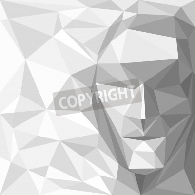 Tableau  3d géométrique visage