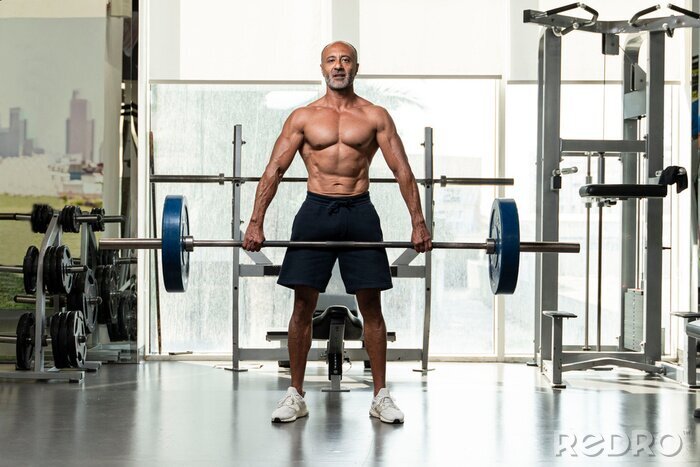 Tableau  A strong muscular shirtless mature older bodybuilding athlete with balding gray hair  holding a heavy barbell, looking at camera in a gym