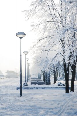 Tableau  A Winter scene in Dnipro. Winter city, frosty morning. Ukraine