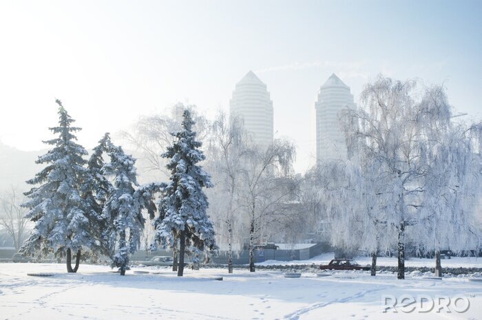 Tableau  A Winter scene in Dnipro. Winter city, frosty morning. Ukraine
