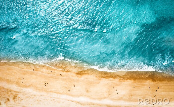 Tableau  Aerial photo of summer beach and blue ocean with sky. 