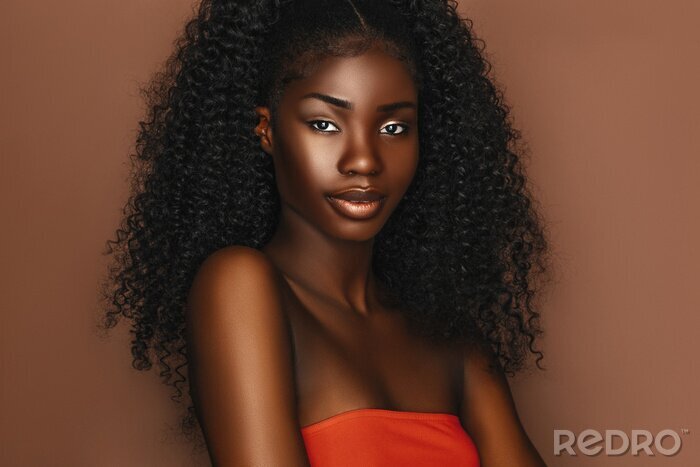 Tableau  African beautiful woman portrait. Brunette curly haired young model with dark skin and perfect smile
