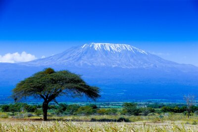 Afrique 3D et Kilimandjaro