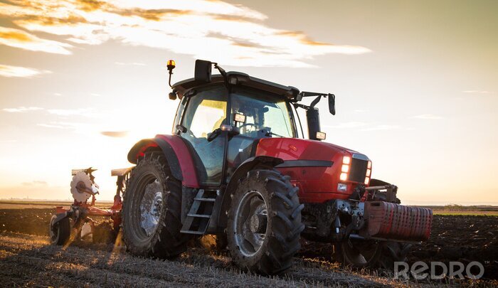 Tableau  Agriculteur qui laboure un champ de chaume avec tracteur rouge au coucher du soleil