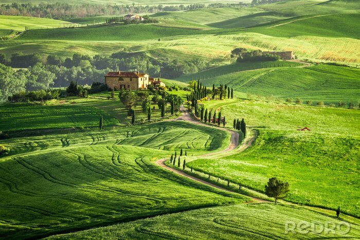 Tableau  Agritourisme en Toscane situé sur une colline