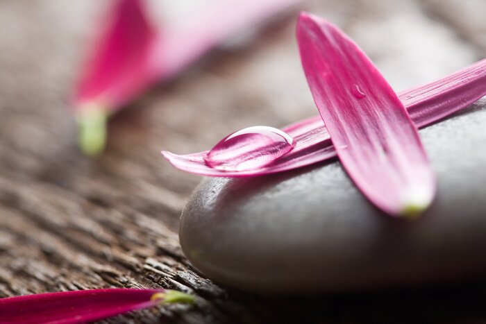 Tableau  Allégories zen