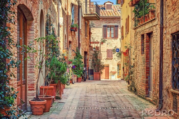 Tableau  Alley dans la vieille ville Toscane Italie