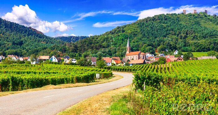 Tableau  Alsace region of France - famous &quot;Vine route&quot; . beautiful vineyards and traditional vilage Husseren les chateaux