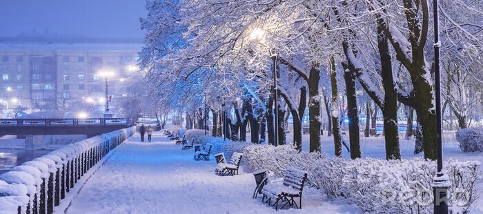 Tableau  Amazing winter night landscape of snow covered bench among snowy trees and shining lights during the snowfall. Artistic picture. Beauty world. Panorama