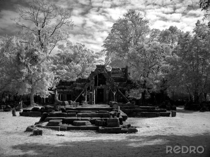 Tableau  Angkor Wat - Le bonheur de l'architecture khmère et art nb.32