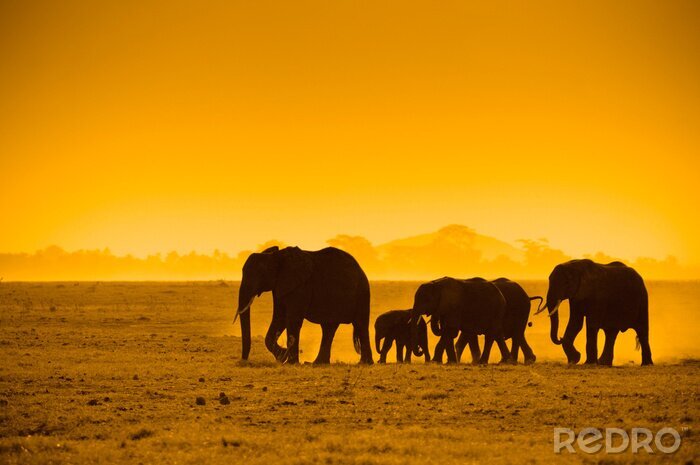 Tableau  Animaux africains au coucher du soleil