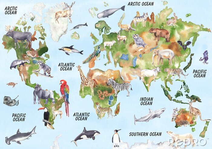 Tableau  Animaux exotiques sur la carte