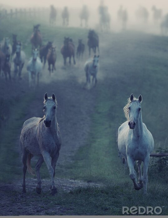 Tableau  Animaux sauvages courant dans le champ