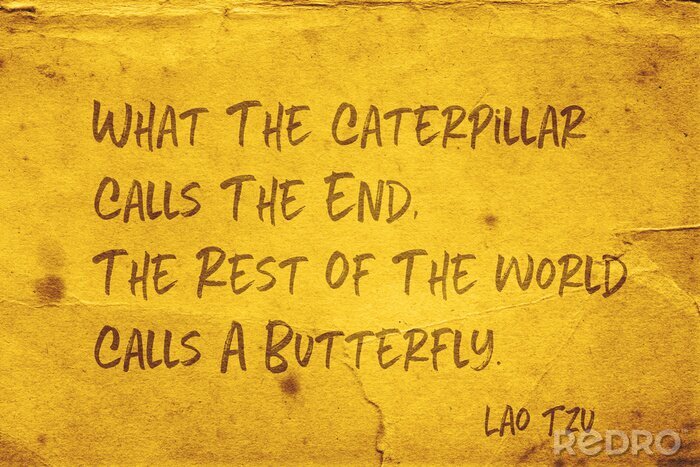 Tableau  appelle un papillon Lao Tzu