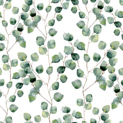 Tableau  Aquarelle de branches d&#39;eucalyptus avec des feuilles vertes sur fond blanc