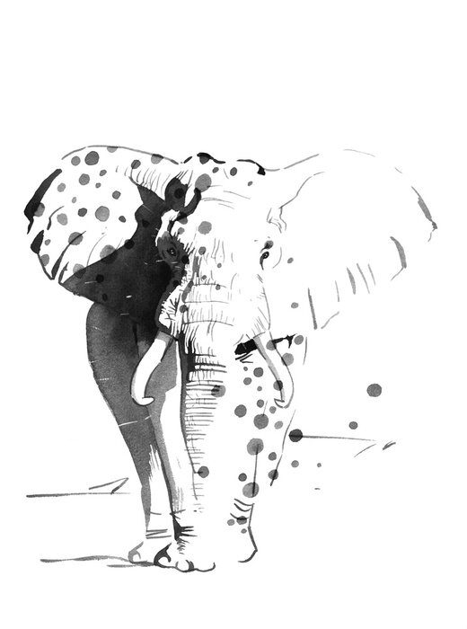 Tableau  Aquarelle éléphant