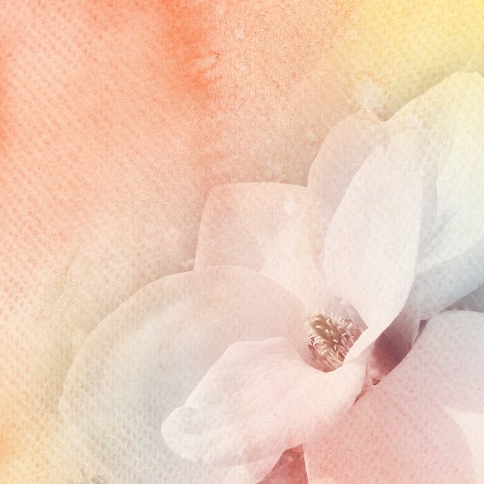 Tableau  Aquarelle et fleurs fond abstrait