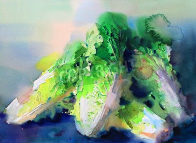 Tableau  Aquarelle, légume, chinois, chou, main, dessiné, peinture, sur, papier
