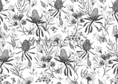 Tableau  Aquarelle motif tropical, fleurs, orange banksias, rose laurier, fleurs exotiques australiennes, fleurs rouges Eremophila dichroantha. motif noir et blanc monochrome