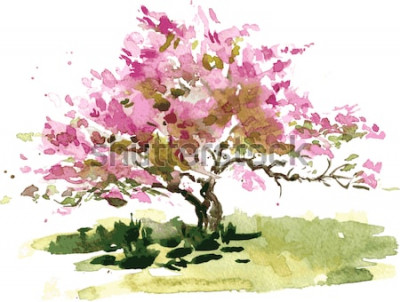Tableau  arbre à fleur de cerisier dessin à l'aquarelle, aquarelle esquisse de fleurs de pommier en fleurs, peinture jardin, fond d'art vectoriel dessiné à la main