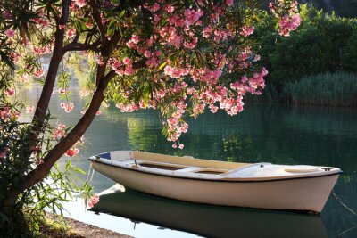 Tableau  Arbre et bateau en fleurs romantiques