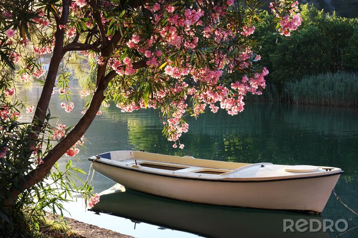 Tableau  Arbre et bateau en fleurs romantiques