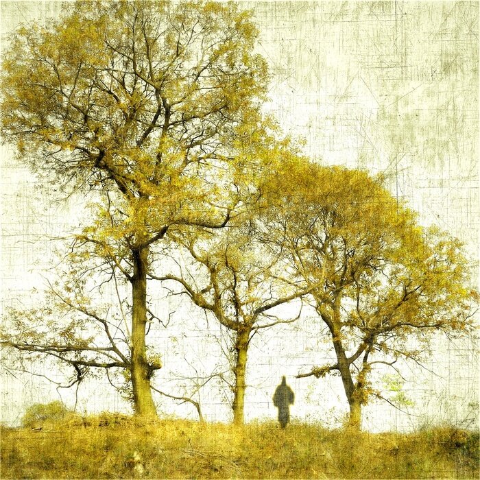 Tableau  Arbre et homme
