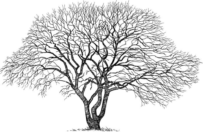 Tableau  Arbre noir et blanc