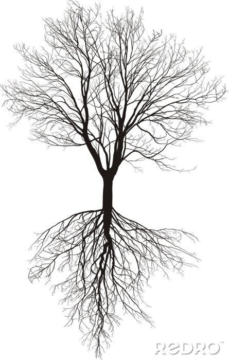 Tableau  Arbre noir et blanc avec des racines visibles