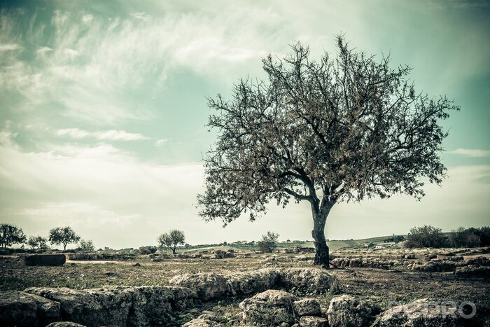 Tableau  Arbre solitaire dans un style vintage