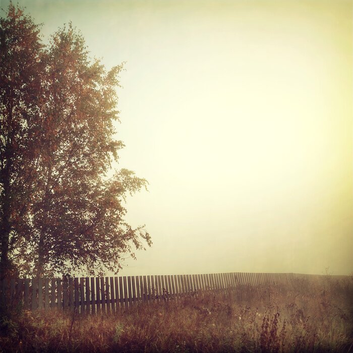 Tableau  Arbre sur fond de brouillard