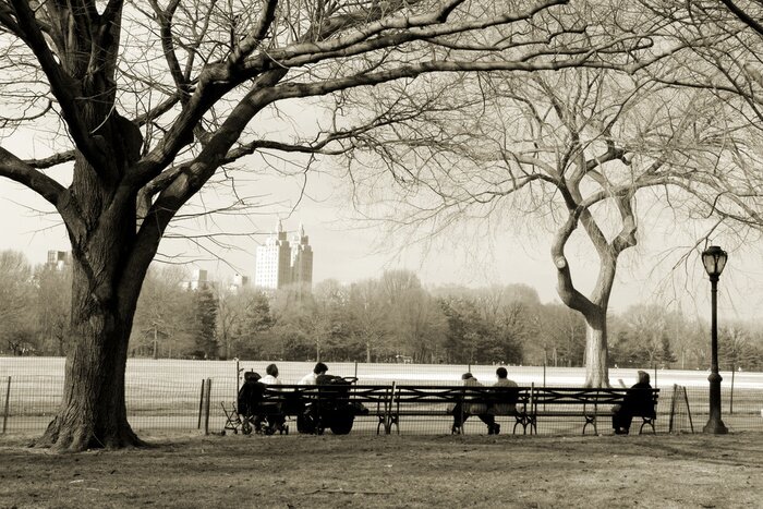 Tableau  Arbres dans Central Park