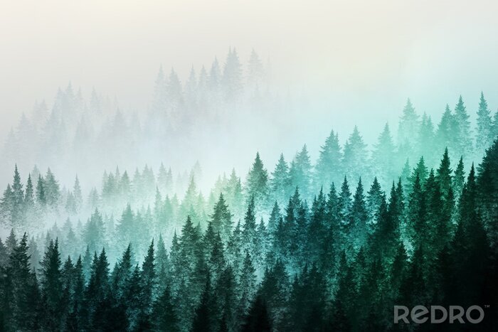 Tableau  Arbres dans le brouillard du matin. Peinture numérique..