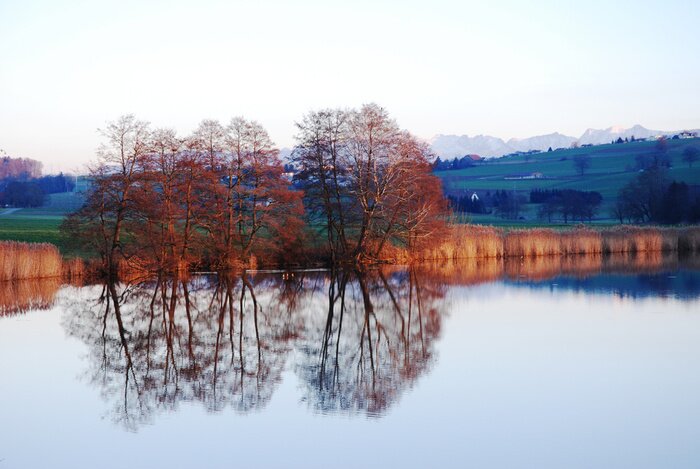 Tableau  Arbres rouges au bord de l'eau