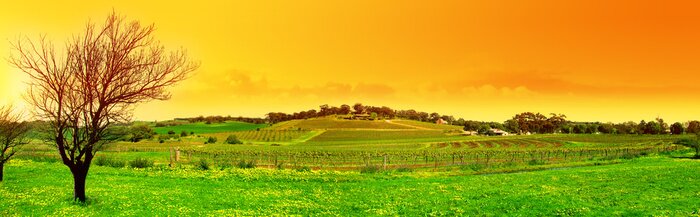 Tableau  Arbres sur un paysage panoramique