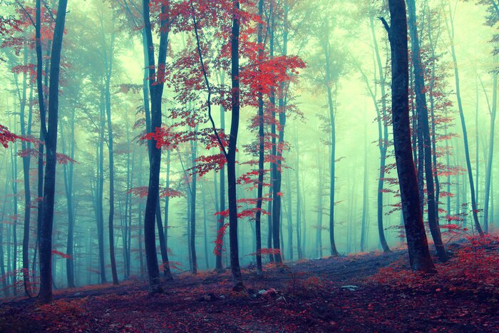 Tableau  Arbres vintage colorés