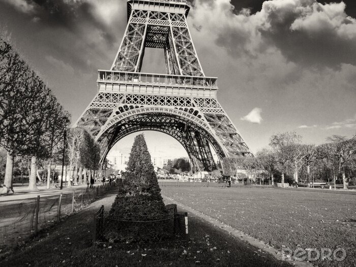 Tableau  Architecture à Paris, la Tour Eiffel et du Champs de Mars
