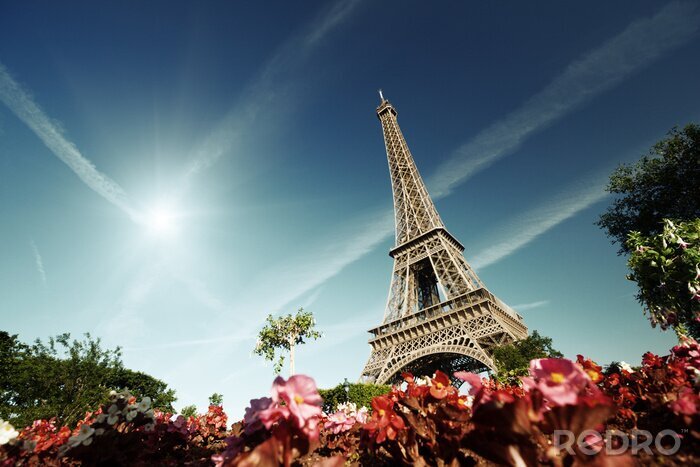 Tableau  Architecture perspective d'une grenouille