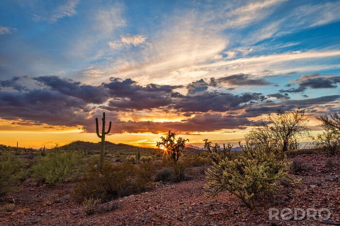 Tableau  Arizona désert coucher de soleil