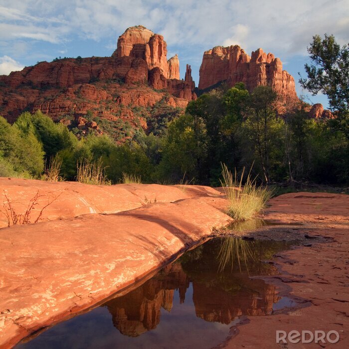 Tableau  Arizona en Amérique